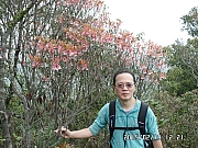 Thumbnail of pic_Thomas_Leung_152.jpg
