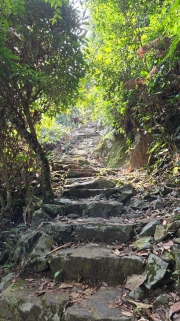 Thumbnail of pic_KW_Li_004.jpg