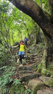 Thumbnail of pic_KW_Li_005.jpg