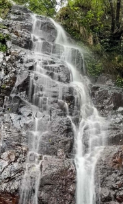 Thumbnail of pic_Lee_Shing_001.jpg