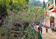 Thumbnail of pic_Lee_Shing_009.JPG