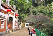 Thumbnail of pic_Lee_Shing_015.JPG