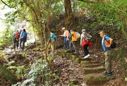 Thumbnail of pic_Lee_Shing_019.JPG
