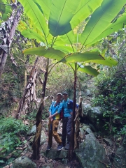 Thumbnail of pic_SK_Kwan_015.JPG