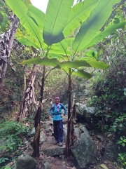 Thumbnail of pic_SK_Kwan_016.JPG