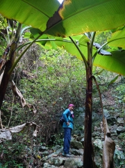Thumbnail of pic_SK_Kwan_017.JPG