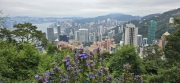 Thumbnail of pic_CW_Ho_018.jpg