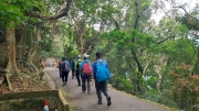 Thumbnail of pic_KL_Sin_023.jpg