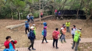 Thumbnail of pic_KL_Sin_033.jpg