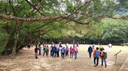 Thumbnail of pic_KL_Sin_047.jpg