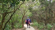 Thumbnail of pic_KL_Sin_050.jpg
