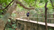Thumbnail of pic_KL_Sin_052.jpg