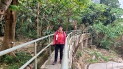 Thumbnail of pic_KL_Sin_054.jpg