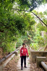 Thumbnail of pic_KL_Sin_057.jpg