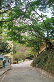 Thumbnail of pic_KL_Sin_059.jpg