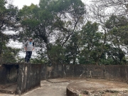 Thumbnail of pic_TB_Tung_009.jpg