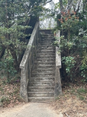 Thumbnail of pic_TB_Tung_013.jpg
