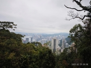 Thumbnail of pic_XF_Liu_004.jpg