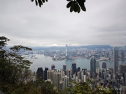 Thumbnail of pic_XF_Liu_008.jpg