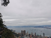 Thumbnail of pic_XF_Liu_016.jpg