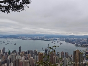 Thumbnail of pic_XF_Liu_018.jpg