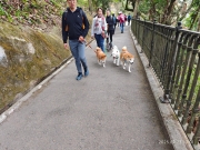 Thumbnail of pic_XF_Liu_029.jpg