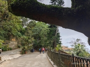 Thumbnail of pic_XF_Liu_031.jpg