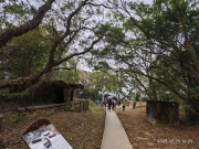 Thumbnail of pic_XF_Liu_076.jpg