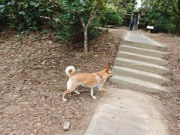 Thumbnail of pic_XF_Liu_077.jpg