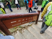 Thumbnail of pic_XF_Liu_082.jpg