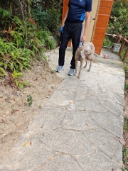 Thumbnail of pic_XF_Liu_085.jpg