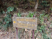 Thumbnail of pic_XF_Liu_098.jpg