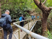 Thumbnail of pic_XF_Liu_099.jpg