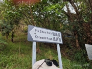 Thumbnail of pic_XF_Liu_104.jpg