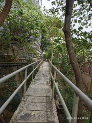 Thumbnail of pic_XF_Liu_115.jpg