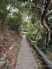 Thumbnail of pic_XF_Liu_118.jpg