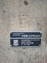 Thumbnail of pic_XF_Liu_125.jpg