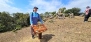 Thumbnail of pic_CW_Ho_034.jpg