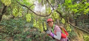 Thumbnail of pic_CW_Ho_055.jpg