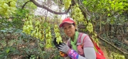 Thumbnail of pic_CW_Ho_056.jpg