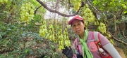 Thumbnail of pic_CW_Ho_057.jpg