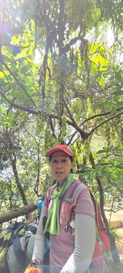Thumbnail of pic_CW_Ho_058.jpg