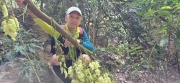 Thumbnail of pic_CW_Ho_075.jpg