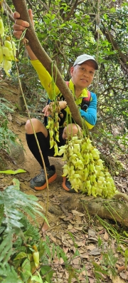 Thumbnail of pic_CW_Ho_076.jpg