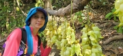 Thumbnail of pic_CW_Ho_085.jpg