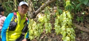 Thumbnail of pic_CW_Ho_086.jpg