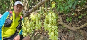 Thumbnail of pic_CW_Ho_087.jpg