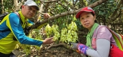 Thumbnail of pic_CW_Ho_089.jpg