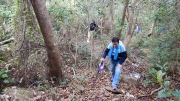 Thumbnail of pic_CW_Ho_091.JPG
