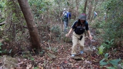 Thumbnail of pic_CW_Ho_092.JPG